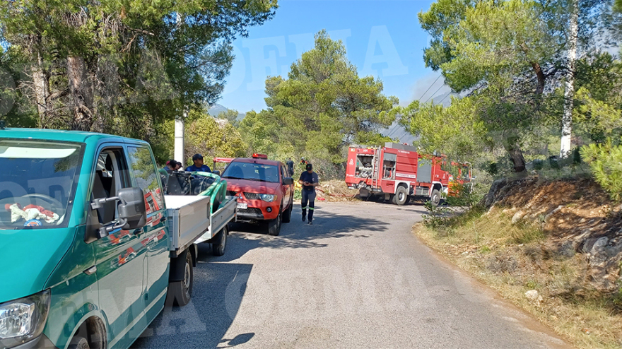 Οριοθετημένη η μεγάλη φωτιά στο Πόρτο Γερμενό - Καίει στο βουνό, έχουν κοπάσει οι άνεμοι