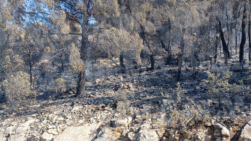 Οριοθετημένη η μεγάλη φωτιά στο Πόρτο Γερμενό - Καίει στο βουνό, έχουν κοπάσει οι άνεμοι