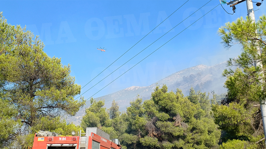 Οριοθετημένη η μεγάλη φωτιά στο Πόρτο Γερμενό - Καίει στο βουνό, έχουν κοπάσει οι άνεμοι