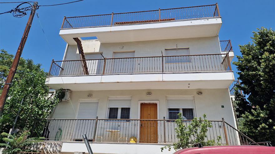 Πώς αποκαλύφθηκε το σπίτι - υγειονομική «βόμβα» με τις 40 γάτες στη Θεσσαλονίκη