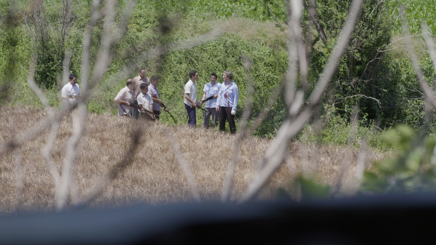 Άγριες Μέλισσες: Μια και σήμερα για το μεγάλο φινάλε