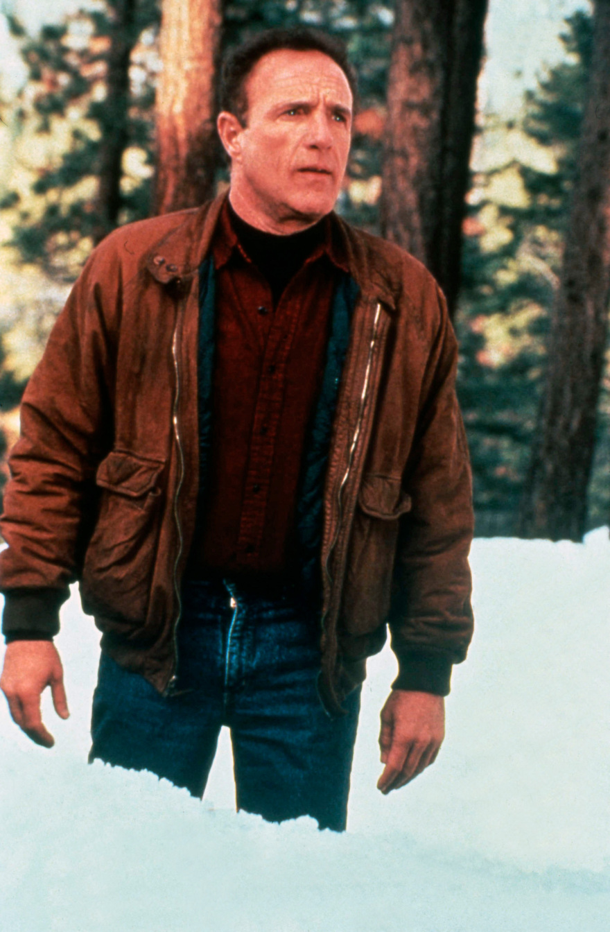 Τζέιμς Κάαν: Πέθανε ο πρωταγωνιστής του «Νονού» και του «Misery»