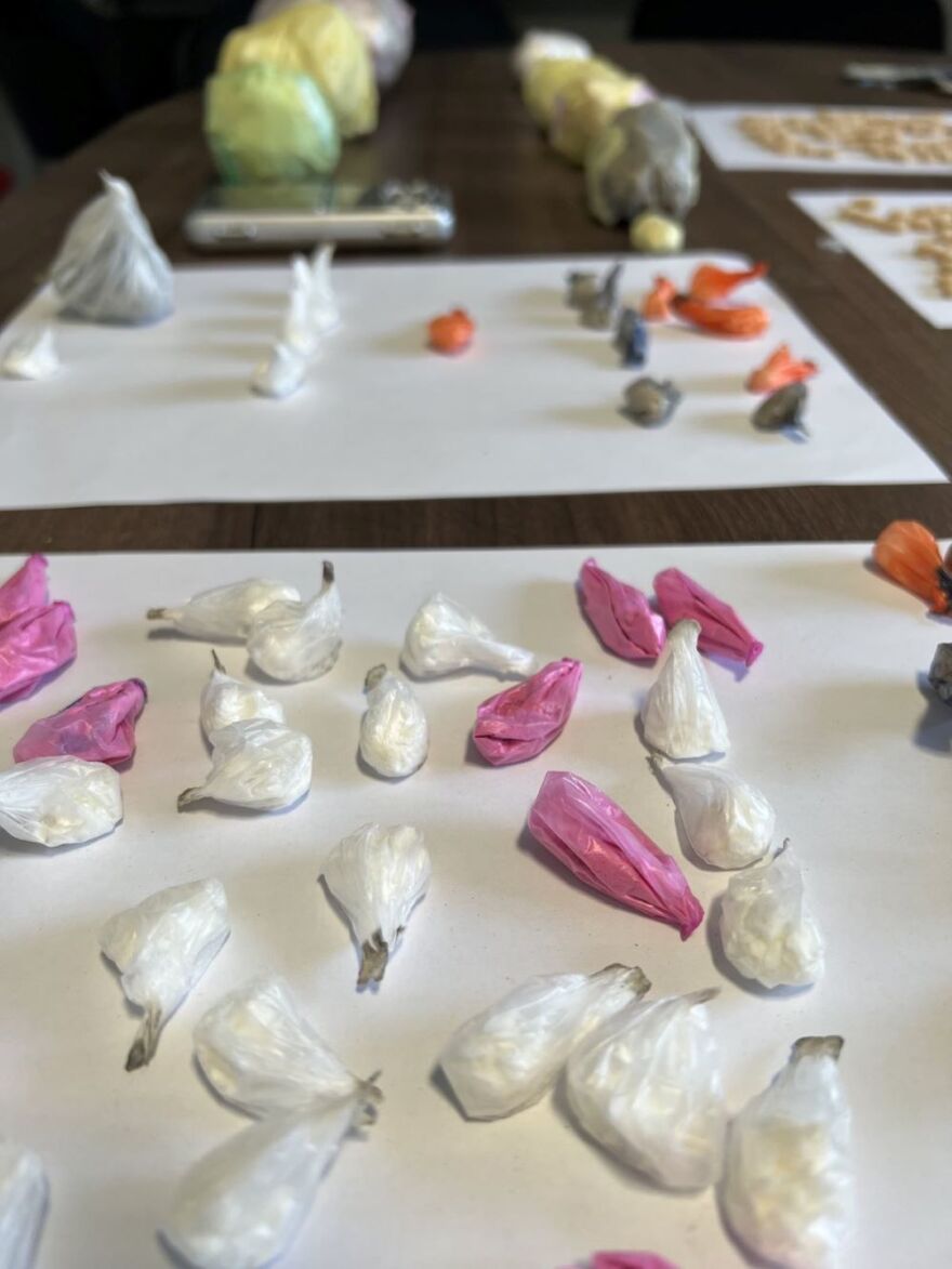  Μύκονος: Η αστυνομία πέρασε χειροπέδες σε μέλη κυκλώματος με κοκαΐνη, παραισθησιογόνα και κάνναβη