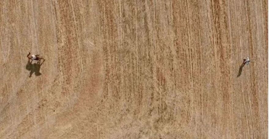 Άγριες Μέλισσες: Ο Μελέτης σκοτώνει τον Ακύλα με δρεπάνι και το Twitter τον αποθεώνει