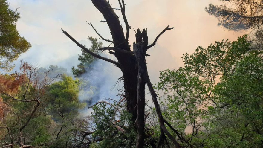 Λευκάδα: Φωτιά στο Πόρτο Κατσίκι – Επιχείρηση της Πυροσβεστικής και με εναέρια μέσα