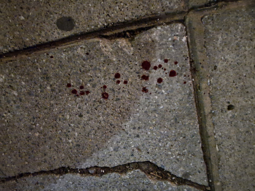 Ξεκαθάρισμα λογαριασμών βλέπει η αστυνομία πίσω από τους πυροβολισμούς στο ΑΠΘ - Πού κινούνται οι έρευνες