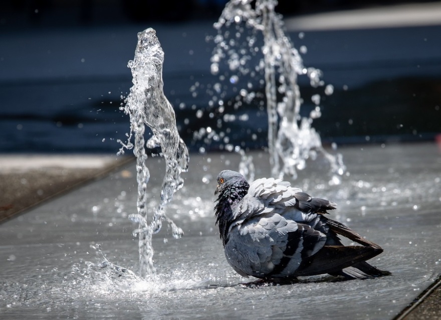 «Λιώνουν» από τον καύσωνα Πορτογαλία - Ισπανία: Στους 42 βαθμούς «σκαρφάλωσε» ο υδράργυρος, συναγερμός για πυρκαγιές