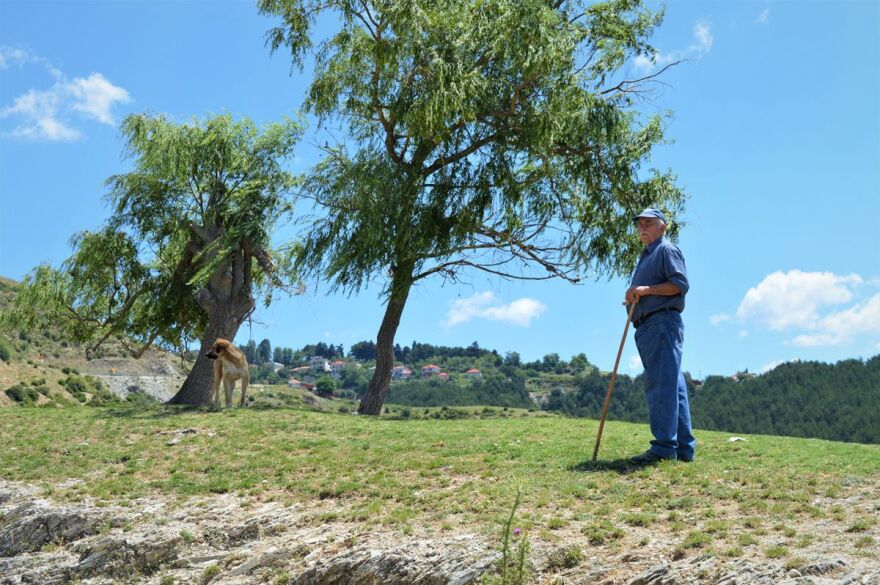 Τουρίστρια στο Λιβάδι Ελασσόνας είδε κολόνα στον δρόμο και άρχισε το... pole dancing