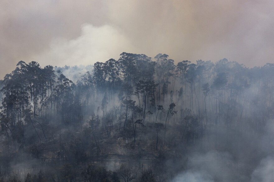 Σε κλοιό ακραίου καύσωνα η Ευρώπη - Μάχη με τις φλόγες σε Γαλλία και Ιβηρική, συναγερμός για 40άρια στη Βρετανία