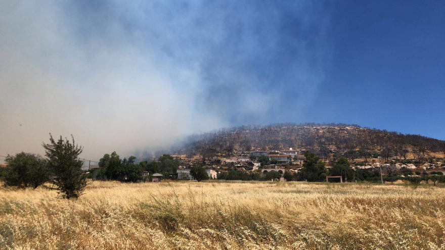 Φωτιά τώρα: Σε ύφεση η πυρκαγιά στο δήμο Σαρωνικού, στην περιοχή Φέριζα 