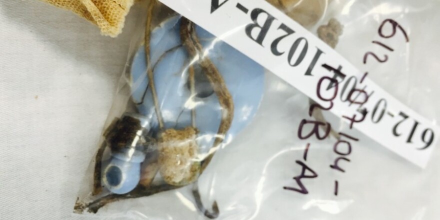 Τουρκική εισβολή στην Κύπρο - Τι απέγιναν τα παιδιά του πολέμου