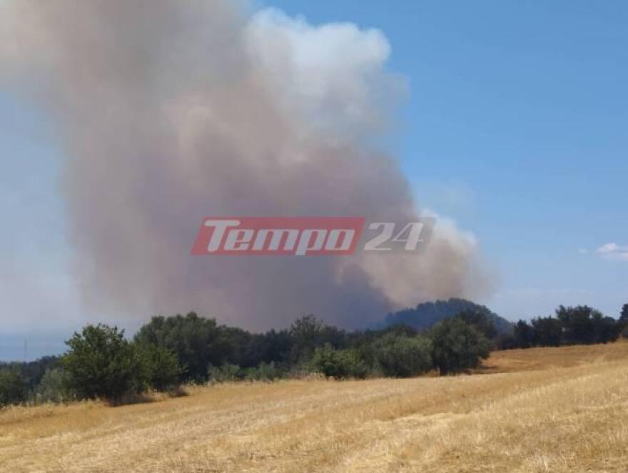 Φωτιά στην Αχαΐα: Εκτός ελέγχου η πυρκαγιά στην Καλλιθέα 
