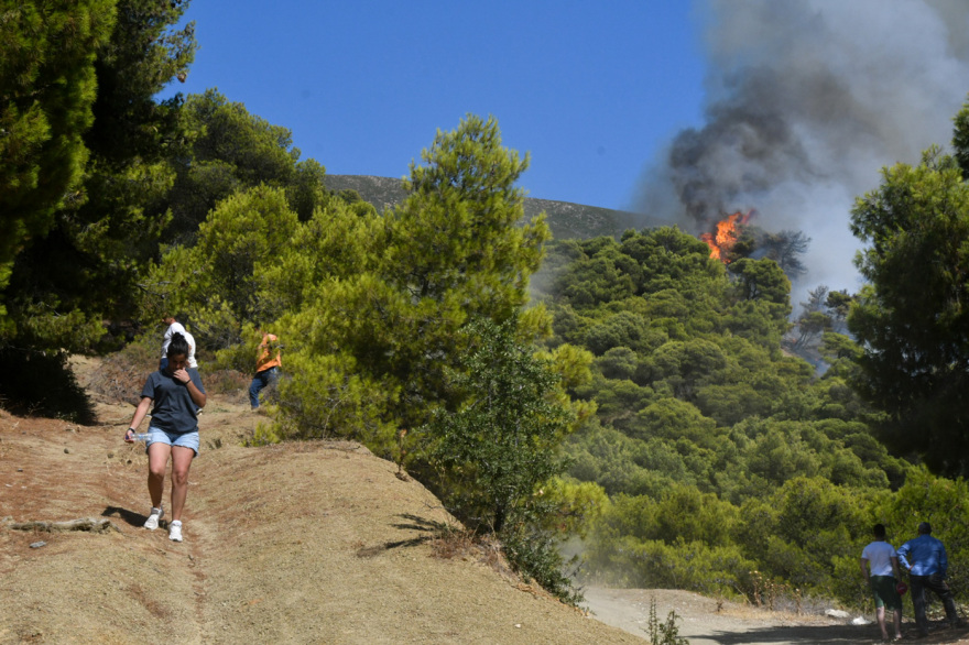 Φωτιές: 71 πυρκαγιές το τελευταίο 24ωρο - Στον δήμο Ερυμάνθου η φωτιά της Καλλιθέας στην Αχαΐα