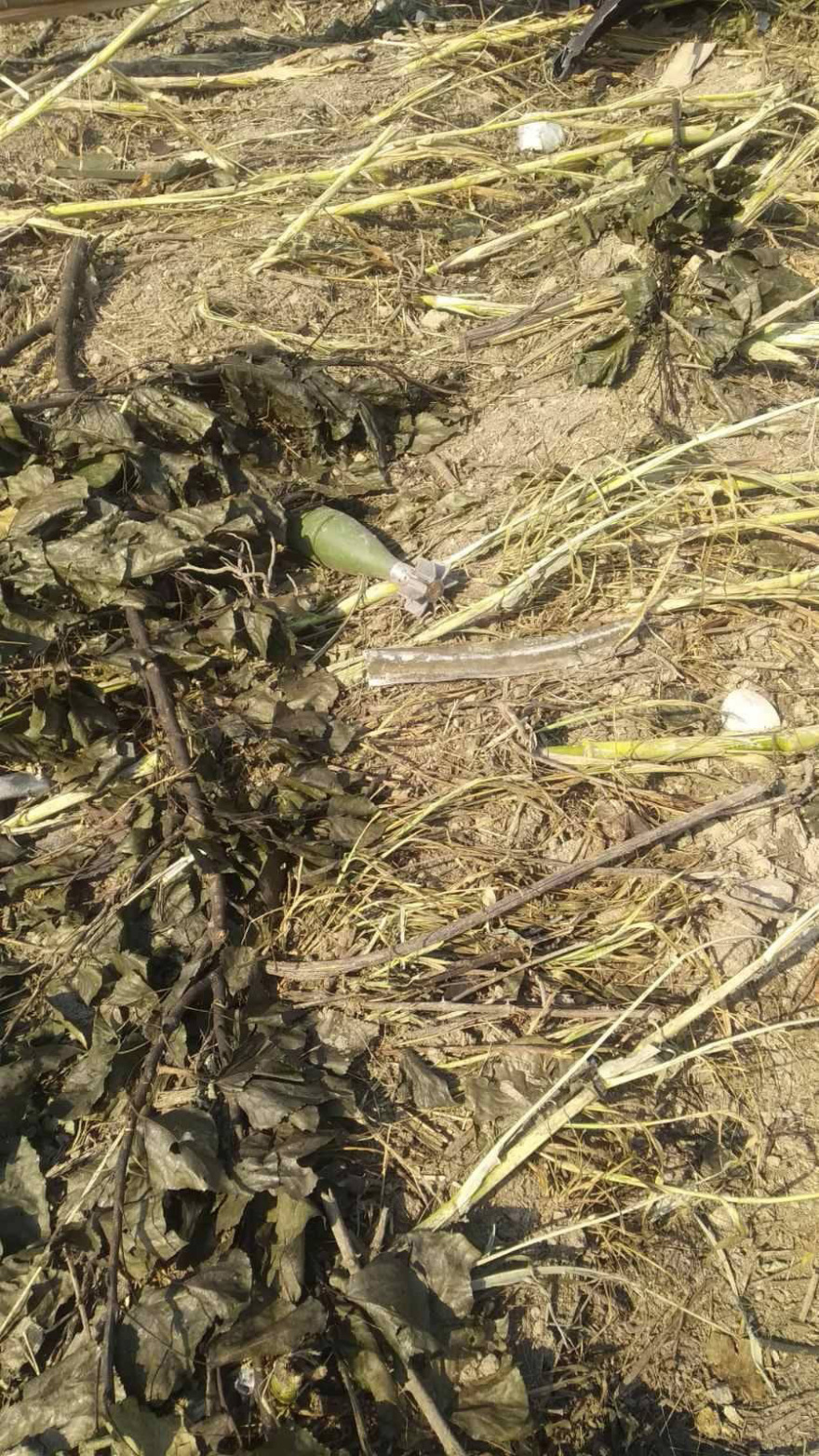 Συντριβή αεροσκάφους στην Καβάλα: Ανασύρθηκαν και οι 8 σοροί  - Μάλλον βρέθηκε το μαύρο κουτί - Δείτε φωτογραφίες