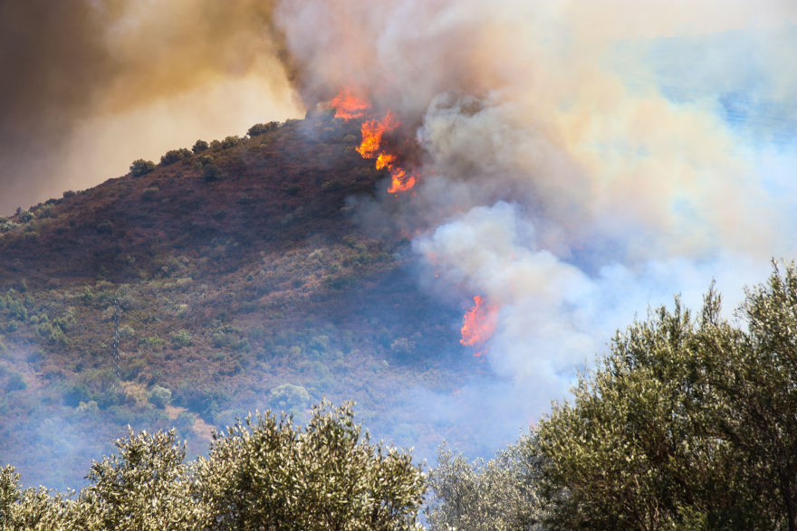 Καύσωνας στην Ισπανία: Σκηνές τρόμου - Φλόγες περικυκλώνουν τρένο