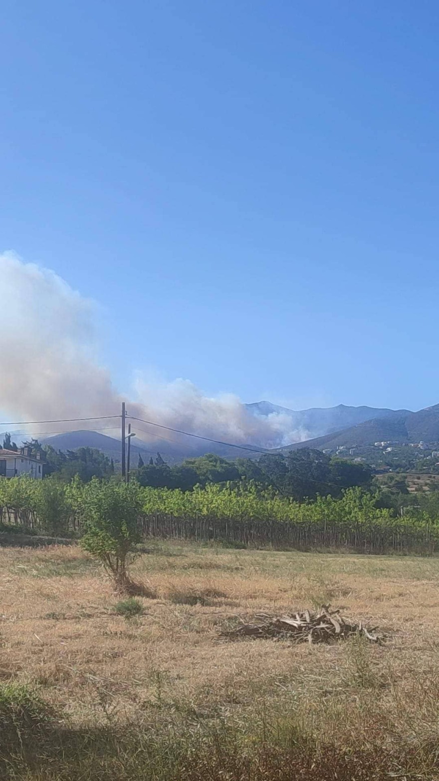 Δύο τα μέτωπα της μεγάλης φωτιάς στην Πεντέλη - Βγήκε 112 - Εκκένωση από Ντράφι