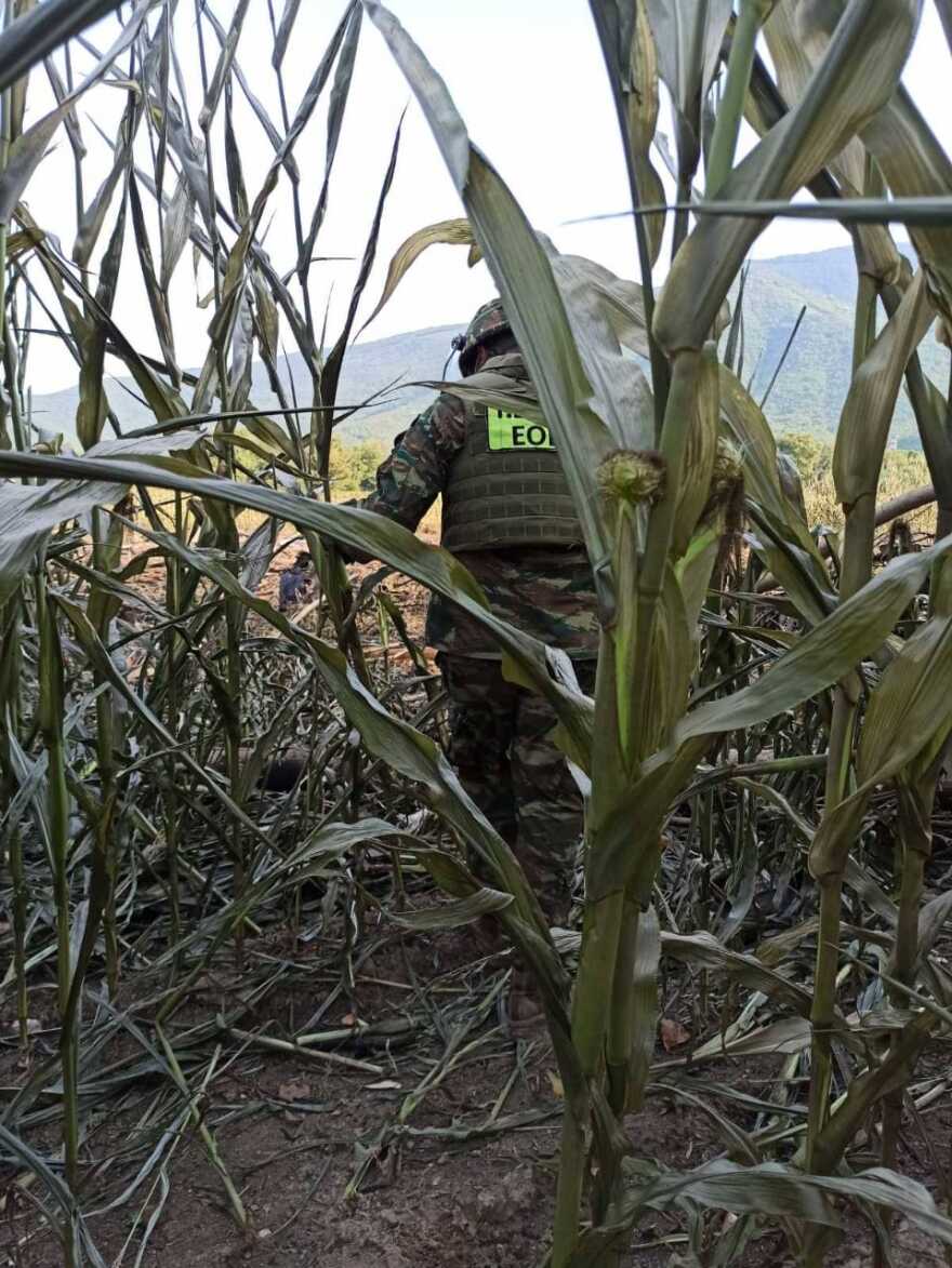 Συντριβή Antonov: Drones του στρατού «σαρώνουν» την περιοχή για διάσπαρτα βλήματα