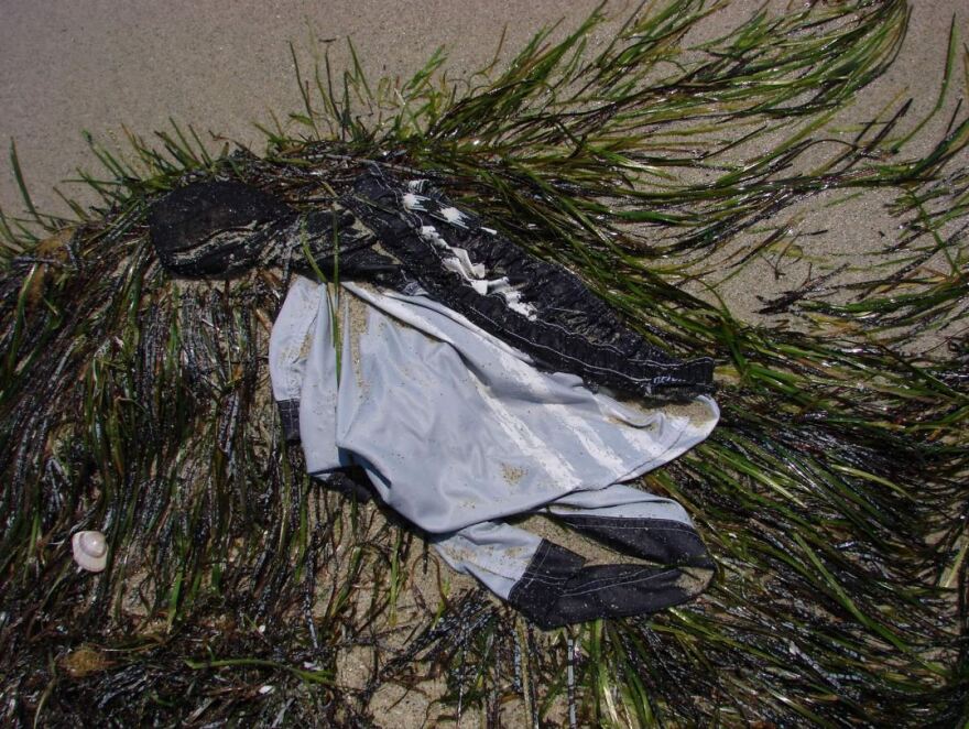 Χαλκιδική: Ψάχνουν για 12η μέρα τον αγνοούμενο Μάρτιν - Μαγιό παρόμοιο με το δικό του βρέθηκε στην Κατερίνη