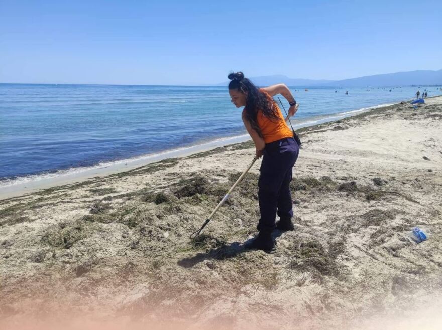 Χαλκιδική: Ψάχνουν για 12η μέρα τον αγνοούμενο Μάρτιν - Μαγιό παρόμοιο με το δικό του βρέθηκε στην Κατερίνη