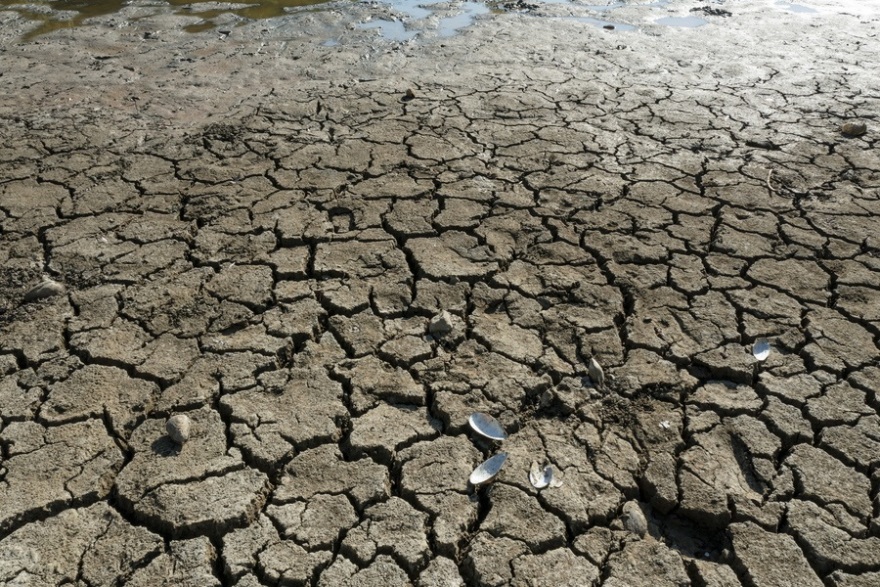 Βίντεο και φωτογραφίες: Η κλιματική αλλαγή χτυπά την Ευρώπη: Ξεράθηκαν τα δάση στη Σλοβενία, στο κόκκινο ξανά ο υδράργυρος