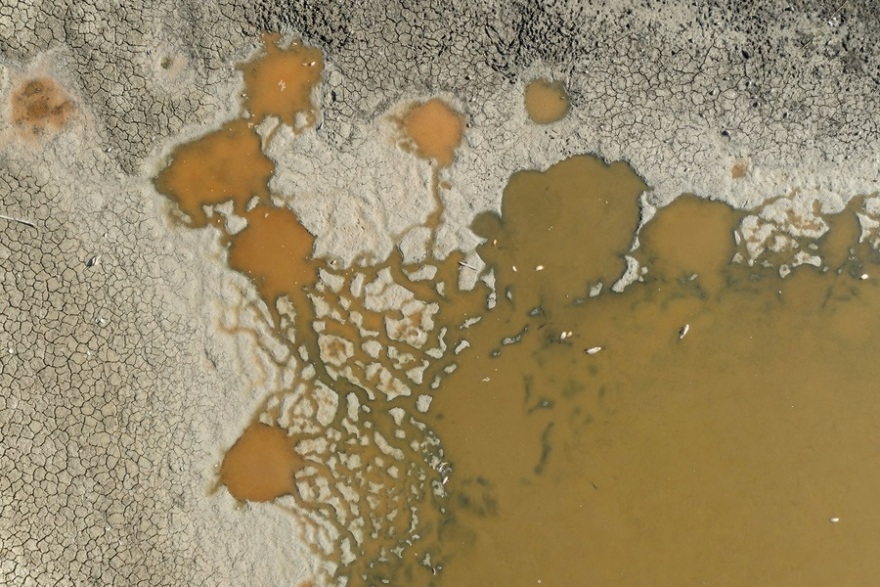 Βίντεο και φωτογραφίες: Η κλιματική αλλαγή χτυπά την Ευρώπη: Ξεράθηκαν τα δάση στη Σλοβενία, στο κόκκινο ξανά ο υδράργυρος