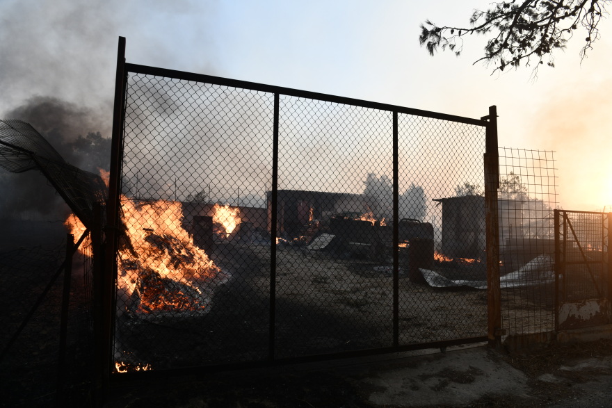 Φωτιά στην Πεντέλη: Μετρούν τις πληγές τους οι κάτοικοι Παλλήνης, Πεντέλης, Ανθούσας και Διώνης