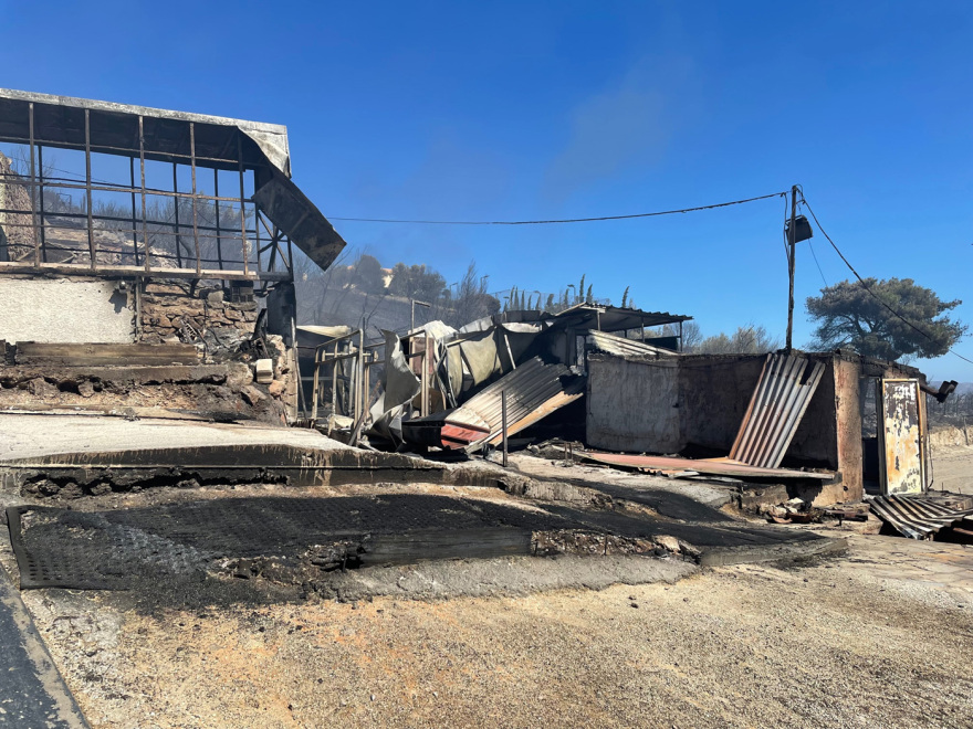 Φωτιά στην Πεντέλη: Καταστράφηκε για δεύτερη φορά ο ιππικός όμιλος Παλλήνης - Διασώθηκαν 30 άλογα 