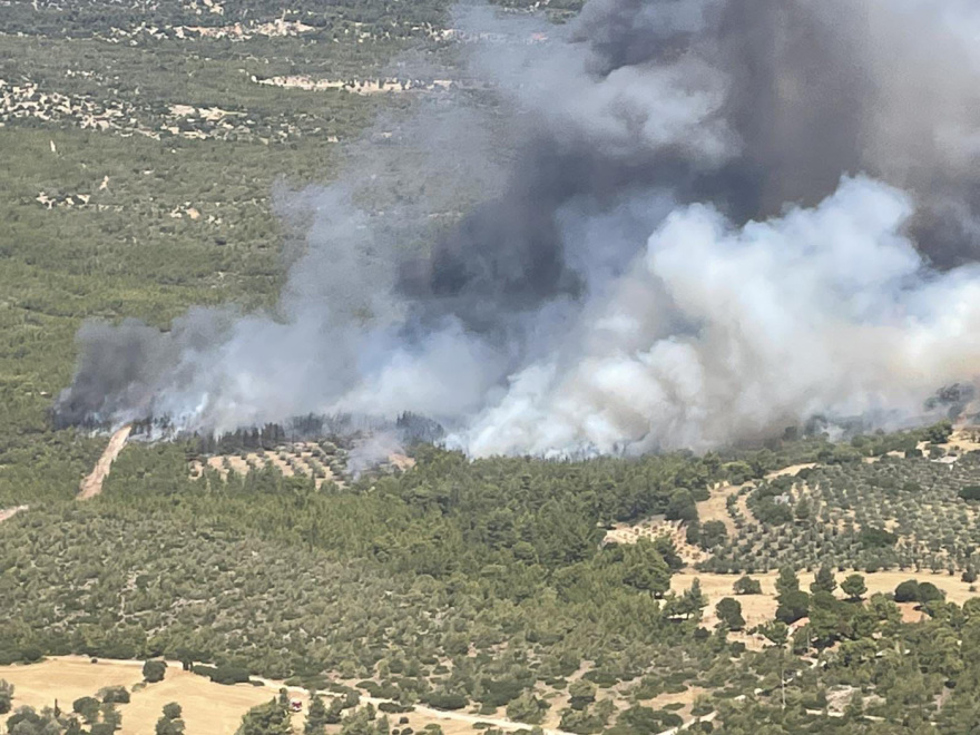 Μεγάλη πυρκαγιά στα Μέγαρα: Απειλείται και το Αλεποχώρι - Εκκενώθηκαν οικισμοί
