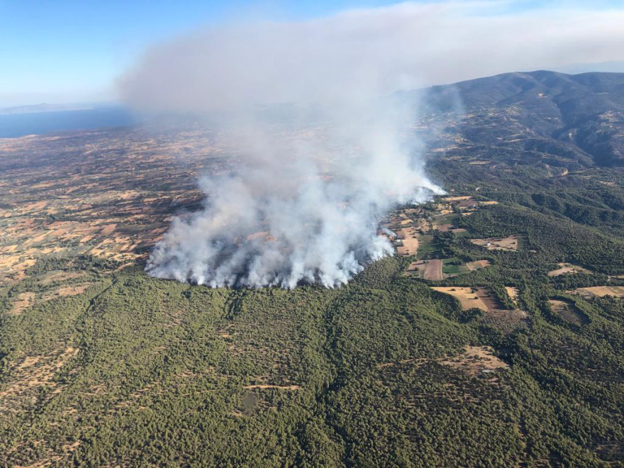 Μεγάλη πυρκαγιά στα Μέγαρα: Απειλείται και το Αλεποχώρι - Εκκενώθηκαν οικισμοί
