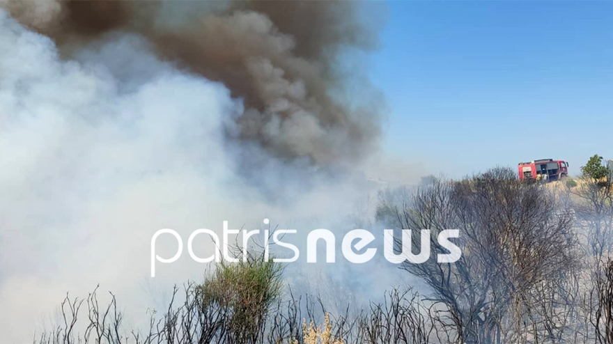 Φωτιά στην περιοχή Άγναντα Ηλείας, κοντά στον οικισμό οι φλόγες - Τραυματίστηκε πυροσβέστης