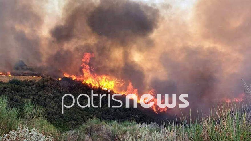 Φωτιά στην περιοχή Άγναντα Ηλείας, κοντά στον οικισμό οι φλόγες - Τραυματίστηκε πυροσβέστης