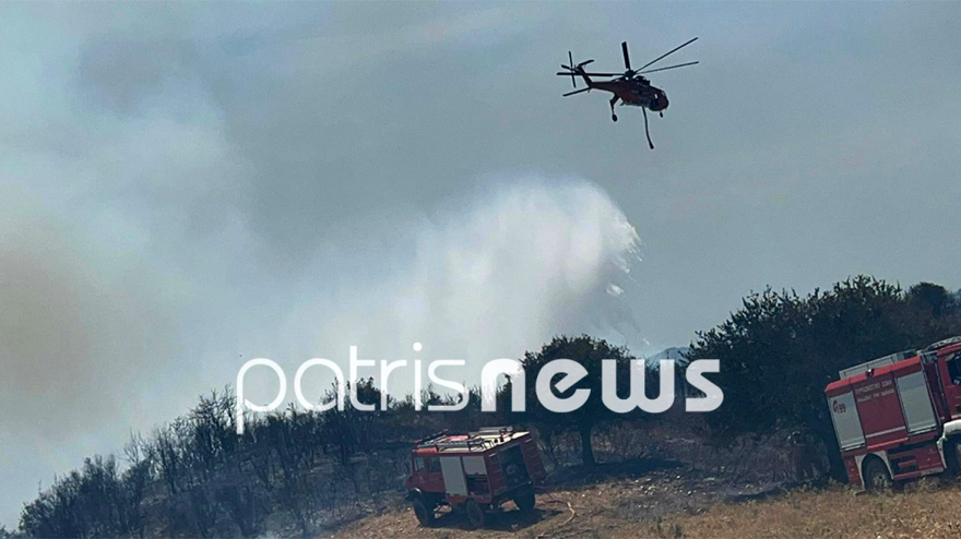 Φωτιά στην περιοχή Άγναντα Ηλείας, κοντά στον οικισμό οι φλόγες - Τραυματίστηκε πυροσβέστης