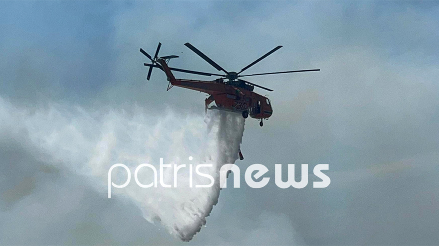 Φωτιά στην περιοχή Άγναντα Ηλείας, κοντά στον οικισμό οι φλόγες - Τραυματίστηκε πυροσβέστης