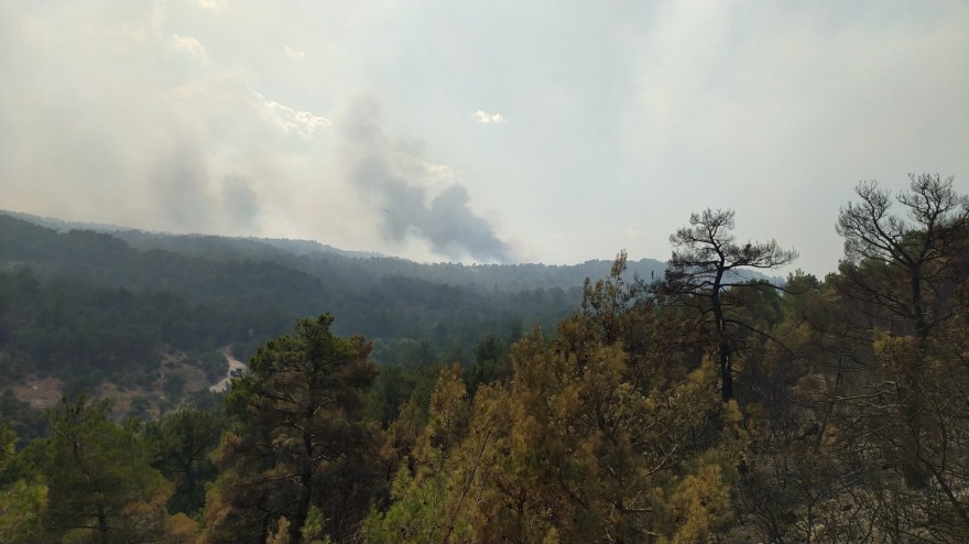 Τρίτη ημέρα ανεξέλεγκτη η μεγάλη φωτιά στο δάσος της Δαδιάς - Οι πυκνοί καπνοί δυσκολεύουν τις ρίψεις