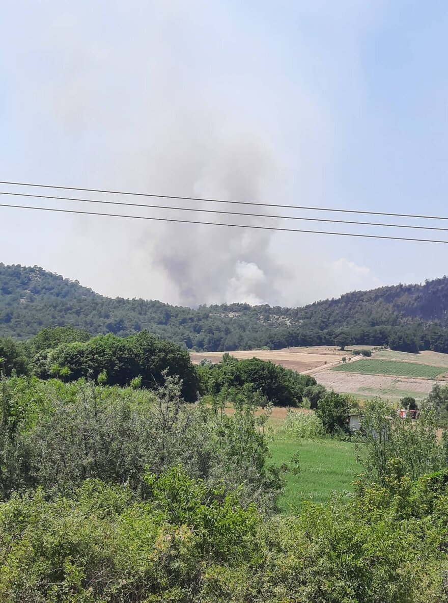 Τρίτη ημέρα ανεξέλεγκτη η μεγάλη φωτιά στο δάσος της Δαδιάς - Οι πυκνοί καπνοί δυσκολεύουν τις ρίψεις