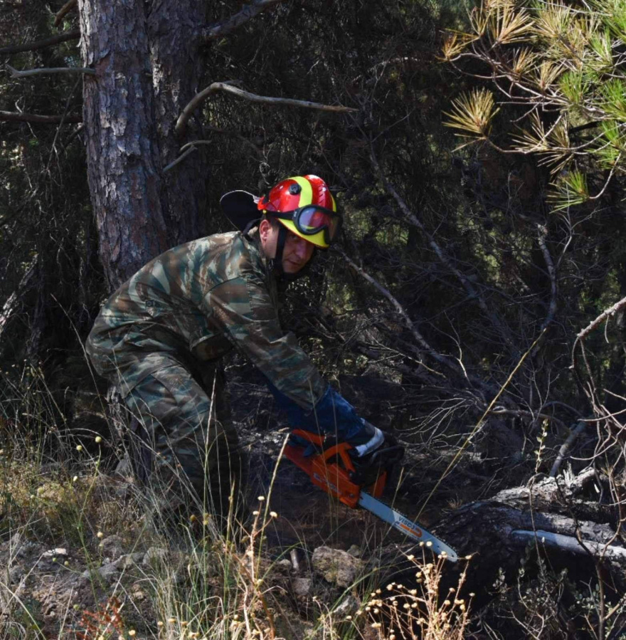 Τρίτη ημέρα ανεξέλεγκτη η μεγάλη φωτιά στο δάσος της Δαδιάς - Οι πυκνοί καπνοί δυσκολεύουν τις ρίψεις