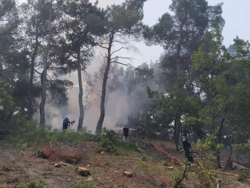 Τρίτη ημέρα ανεξέλεγκτη η μεγάλη φωτιά στο δάσος της Δαδιάς - Οι πυκνοί καπνοί δυσκολεύουν τις ρίψεις
