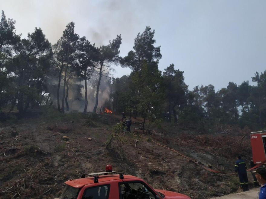 Τρίτη ημέρα ανεξέλεγκτη η μεγάλη φωτιά στο δάσος της Δαδιάς - Οι πυκνοί καπνοί δυσκολεύουν τις ρίψεις