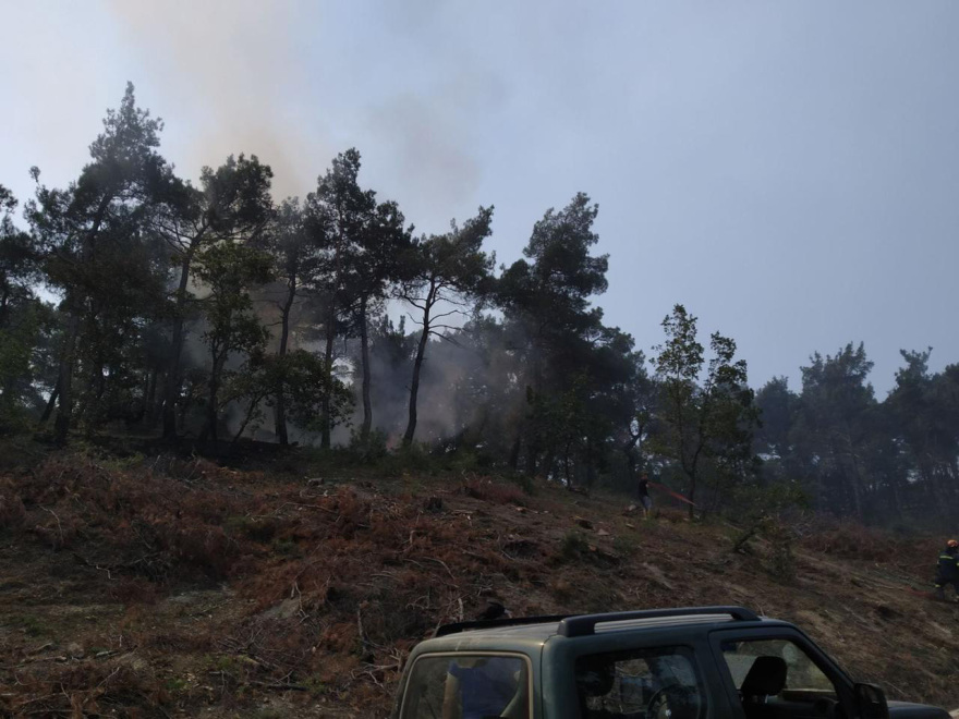 Τρίτη ημέρα ανεξέλεγκτη η μεγάλη φωτιά στο δάσος της Δαδιάς - Οι πυκνοί καπνοί δυσκολεύουν τις ρίψεις