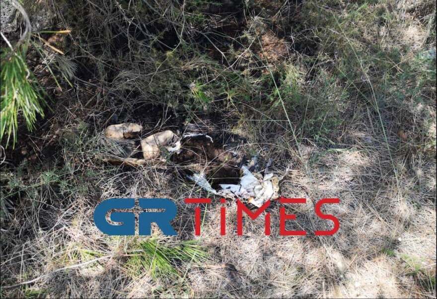 Φωτιά στο Σέιχ Σου: Ενδείξεις για καλλιέργεια κάνναβης στο σημείο της φωτιάς