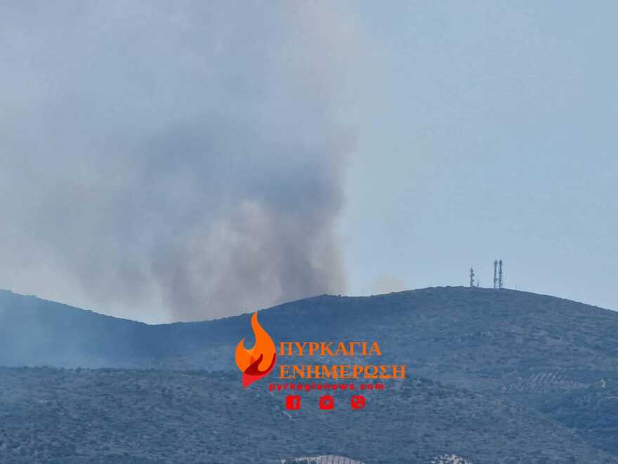 Φωτιά στο Ακριτοχώρι Μεσσηνίας - Δείτε φωτογραφίες