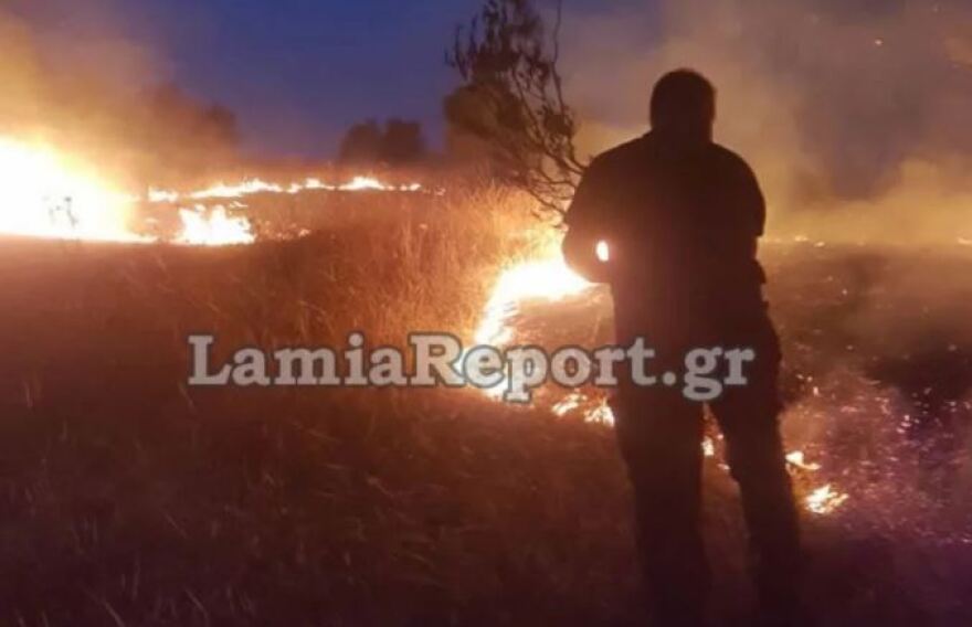 Δύο πύρινα μέτωπα στη Στυλίδα - «Όλα δείχνουν ανθρώπινο χέρι»