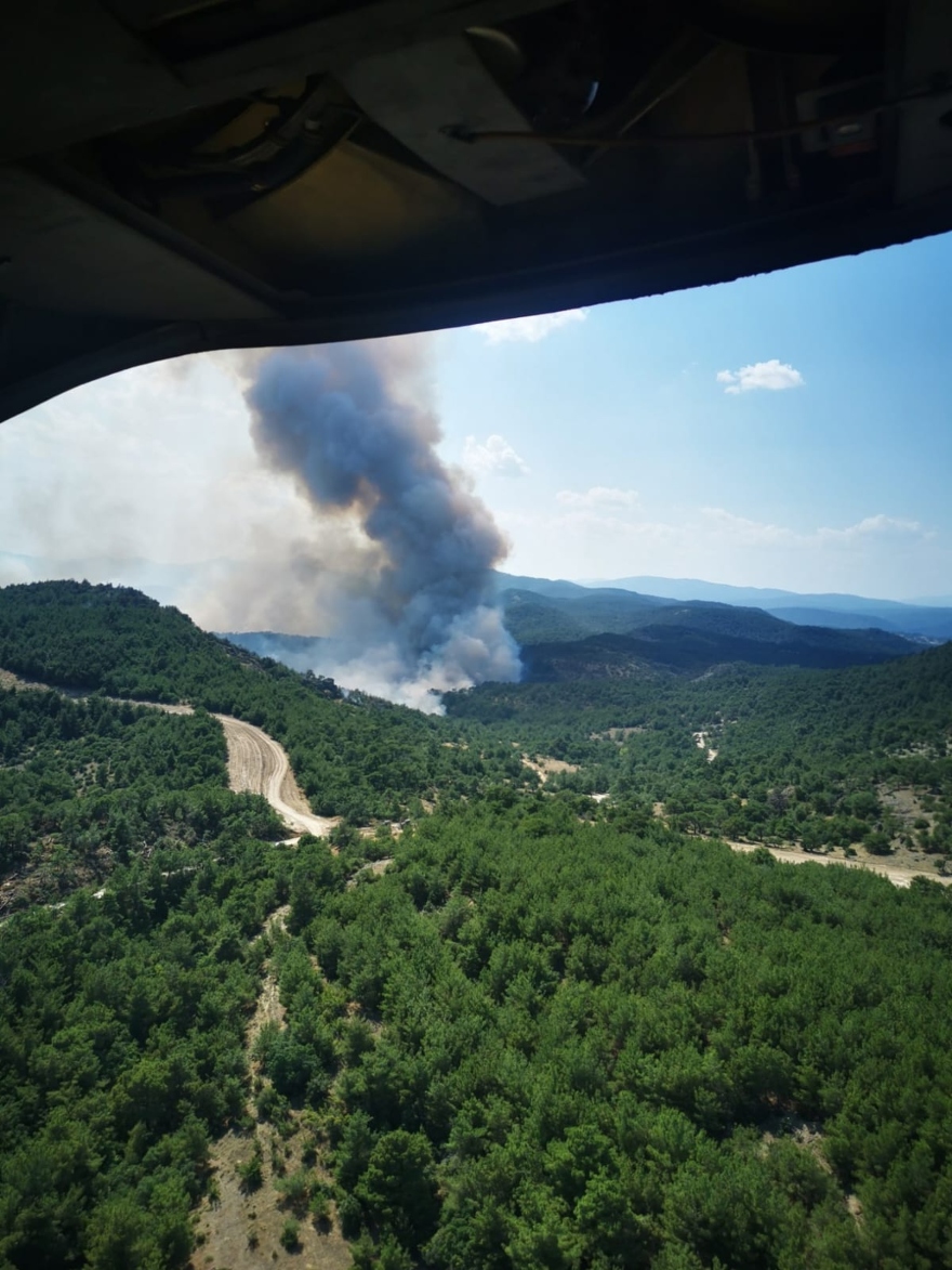 Φωτιά στη Δαδιά: Στο νοτιοδυτικό μέτωπο η μεγάλη μάχη