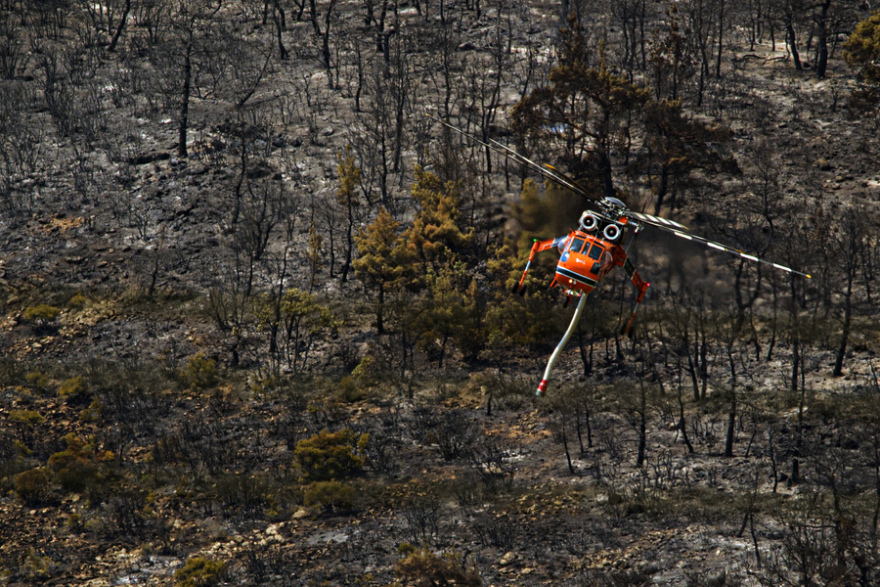Μαίνεται η φωτιά στη Δαδιά για 7η μέρα - Στη  «μάχη» έξι ελικόπτερα