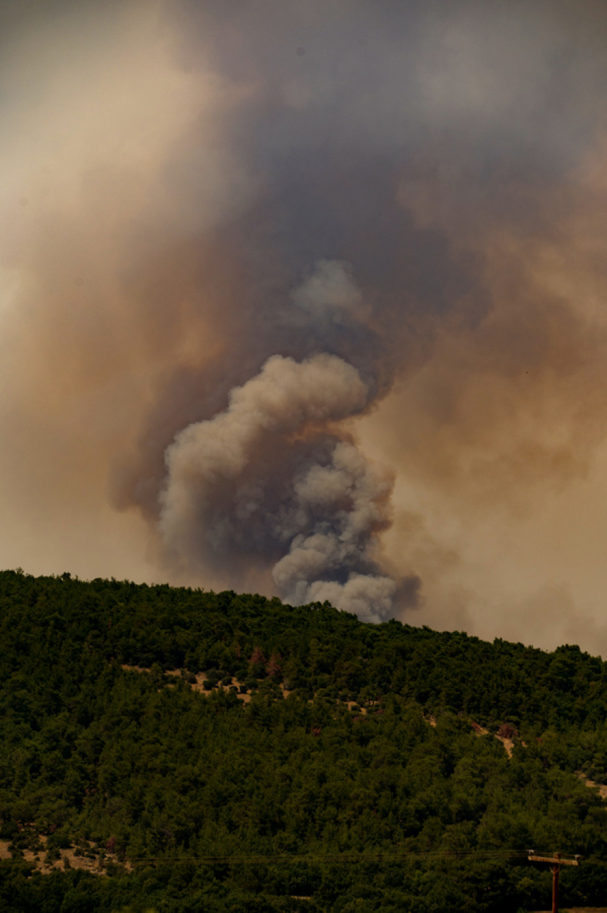 Φωτιά στη Δαδιά: Νέες αντιπυρικές ζώνες στο νοτιοδυτικό τμήμα του Εθνικού Πάρκου