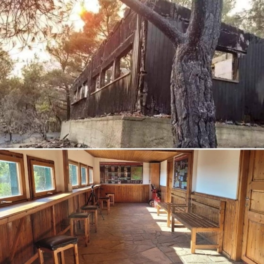 Πέντε ελικόπτερα και δύο τράκτορες επιχειρούν νοτιοδυτικά του πυροφυλακίου στη Δαδιά - Βίντεο