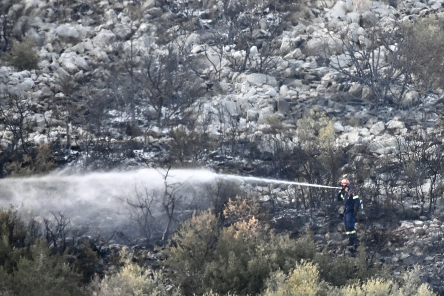 Υπό έλεγχο η φωτιά στη Μάνδρα - Δείτε φωτογραφίες