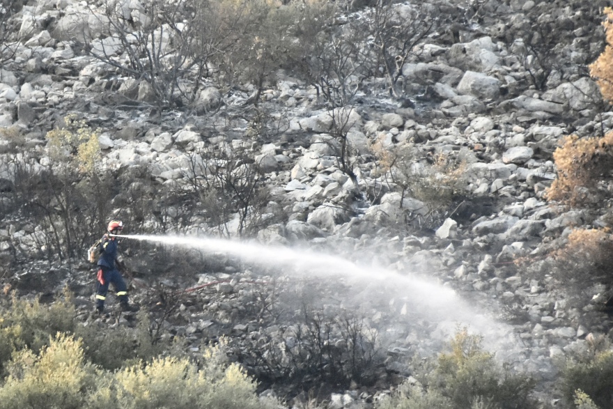 Υπό έλεγχο η φωτιά στη Μάνδρα - Δείτε φωτογραφίες
