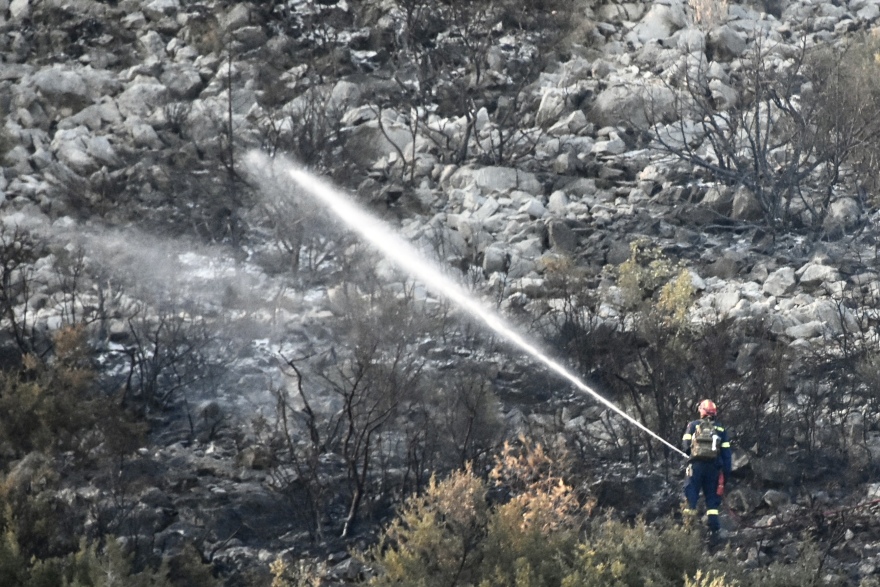 Υπό έλεγχο η φωτιά στη Μάνδρα - Δείτε φωτογραφίες