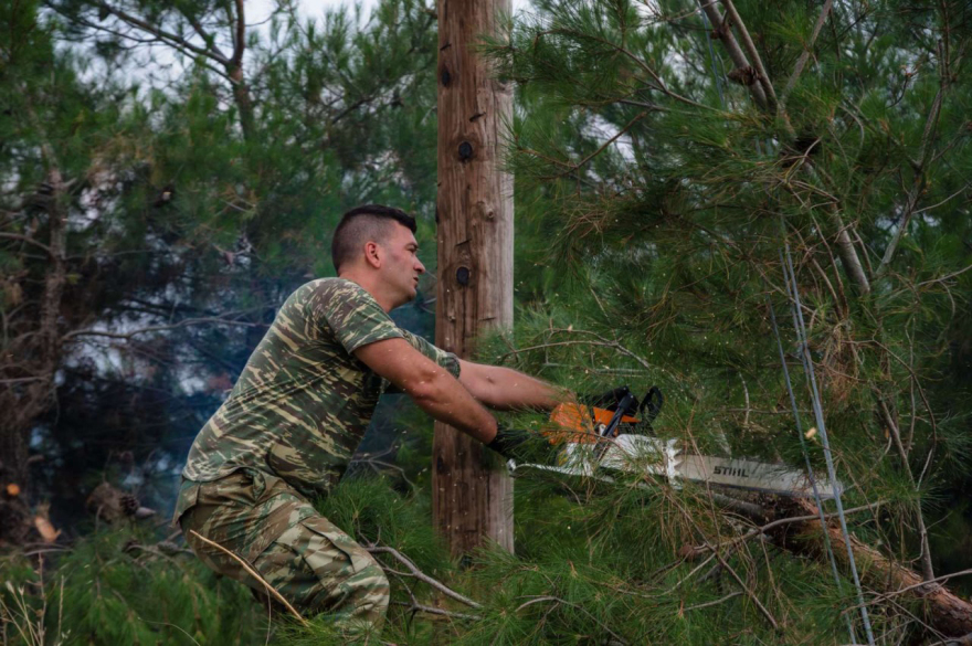 Φωτιά στη Δαδιά: Νέες αντιπυρικές ζώνες στο νοτιοδυτικό τμήμα του Εθνικού Πάρκου